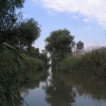 Pierdut-printre-canale-150x150
