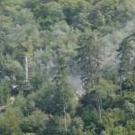 cuciulata 1
