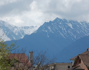 v9