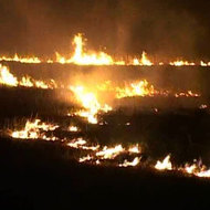 devorati-devorati-devorati